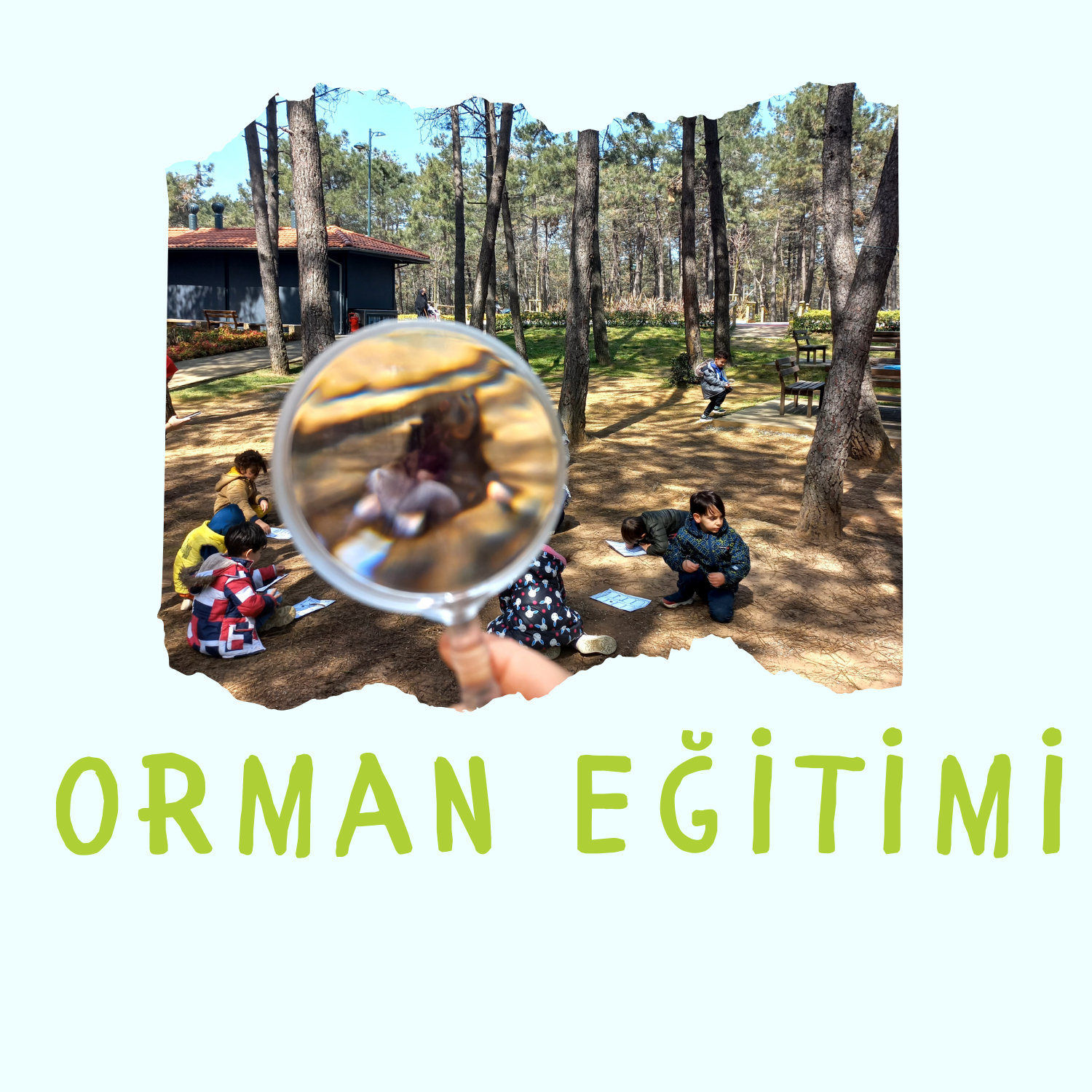 Eğitim programı görseli 5